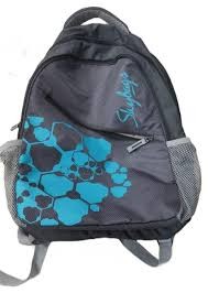 Printed Unisex Skybags Polyester School Bag