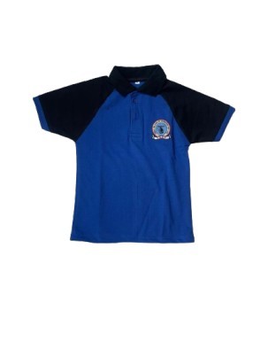 BLUE HOUSE PT T-SHIRT | CLASS 1-10 | SNBP SCHOOL CBSE BOARD