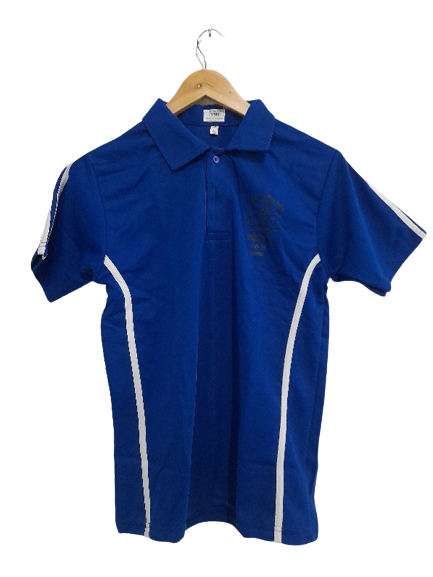BLUE HOUSE T-SHIRT | BISHOPS SCHOOL, UNDRI | PUNE